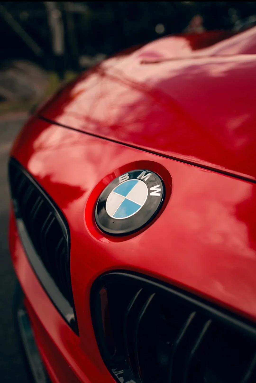 BMW Dechromed Roundels | OEM Black Badge Upgrade - Image 7